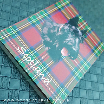 Scottish Terrier Tartan Scotland Magnetic Note Pad